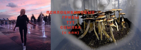 сатива Алексин