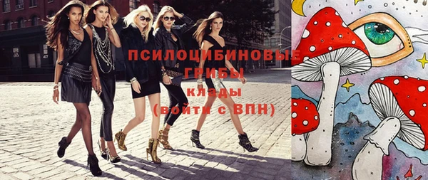соль ск Алексеевка