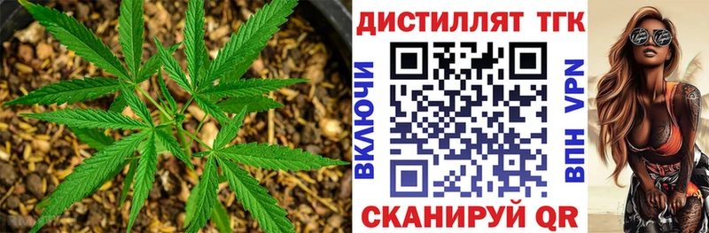 Дистиллят ТГК THC oil  дарнет шоп  Жигулёвск 
